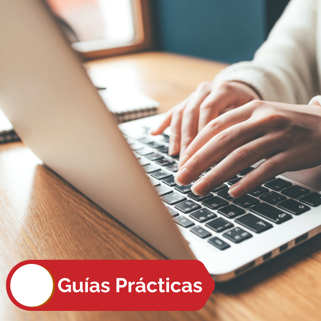 Guias practicas Pancco